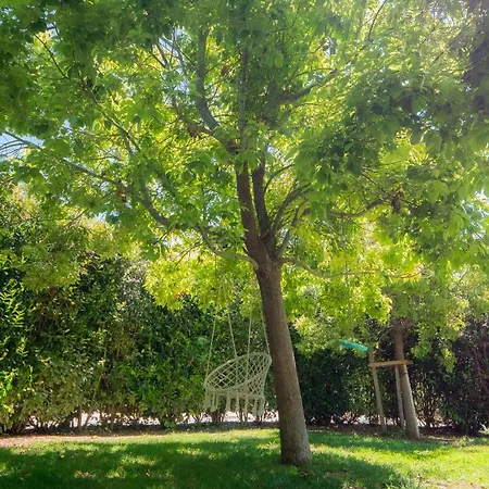 Vila Contemporaine Classee 5 Etoiles Avec Piscine Antibes