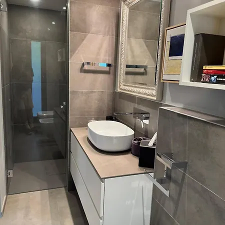 Contemporaine Classee 5 Etoiles Avec Piscine * Antibes