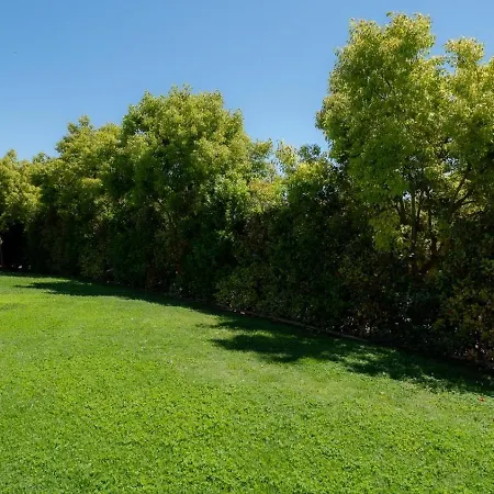 Contemporaine Classee 5 Etoiles Avec Piscine * Antibes